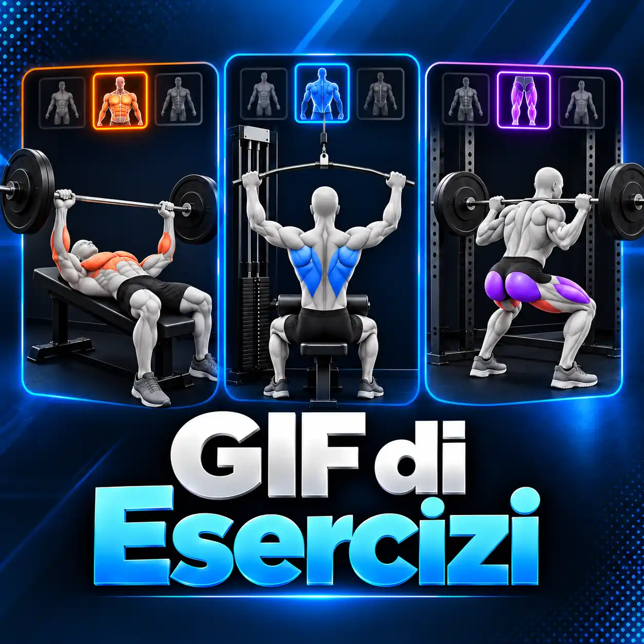 GIF di Esercizi